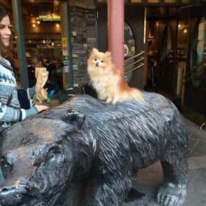 Meet your Posher, Kristine